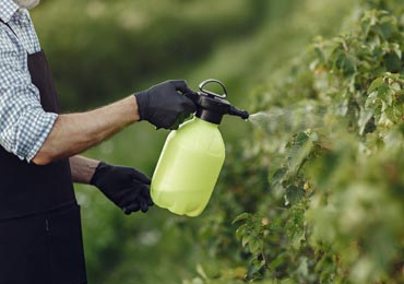 سم پاشی باغ و باغچه همه کارا